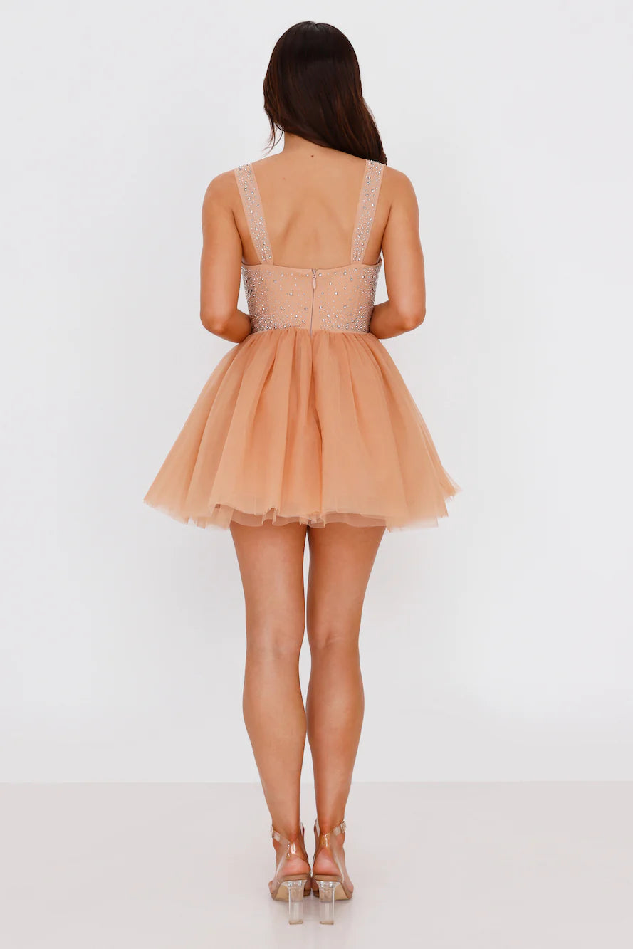 Lady Of The Palace Tulle Mini Dress Nude